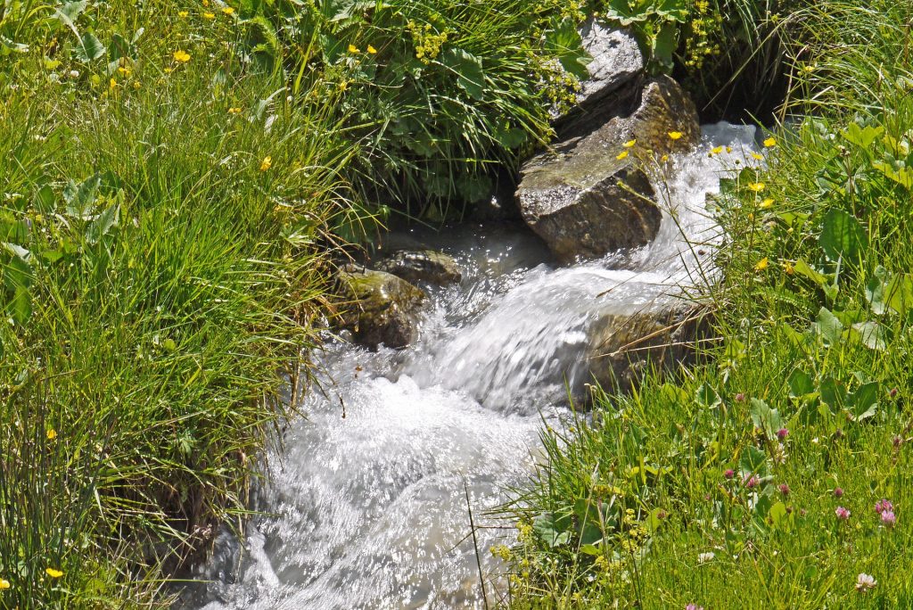 Das Leben ist wie ein Fluss Kleine Geschichten