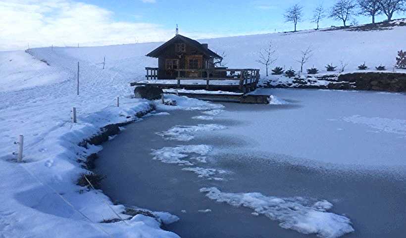 Die Hütte am Teich Kleine Geschichten