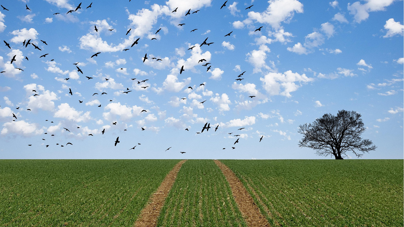 3-Bilder und Sprüche für einen schönen Tag - Kleine Geschichten